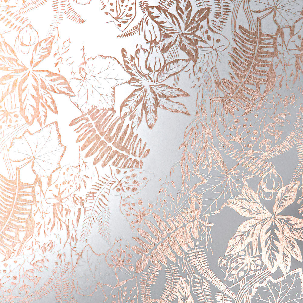 Hothouse copper rose / white